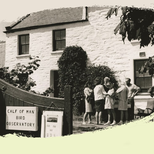 The Calf of Man: The Little Island with the Big Story