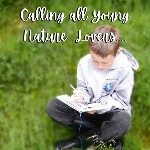 Young Nature Blogger - Deadline Extended