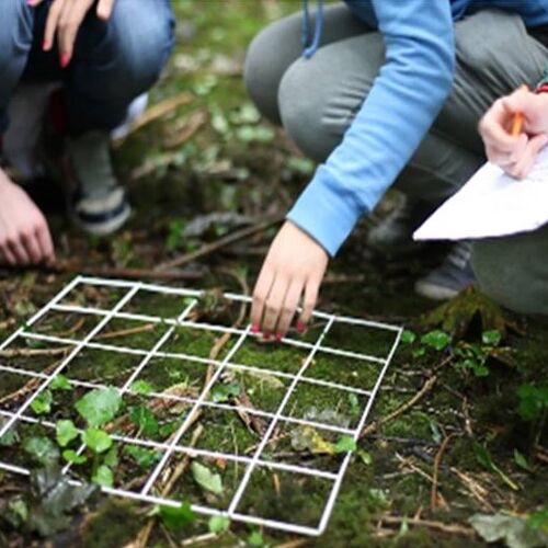Education in Killarney National Park