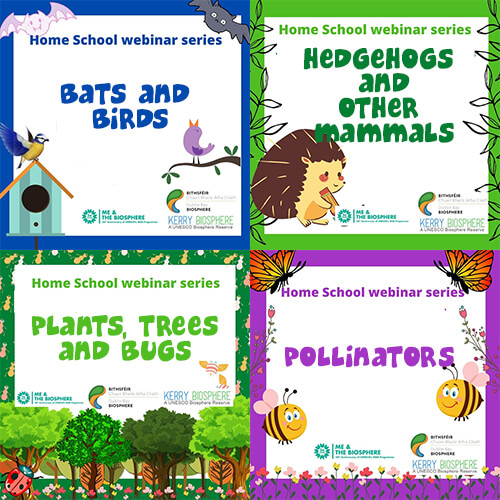 Nature series, Webinars for Primary schools