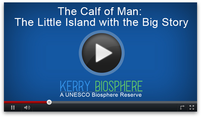 Calf Man Video