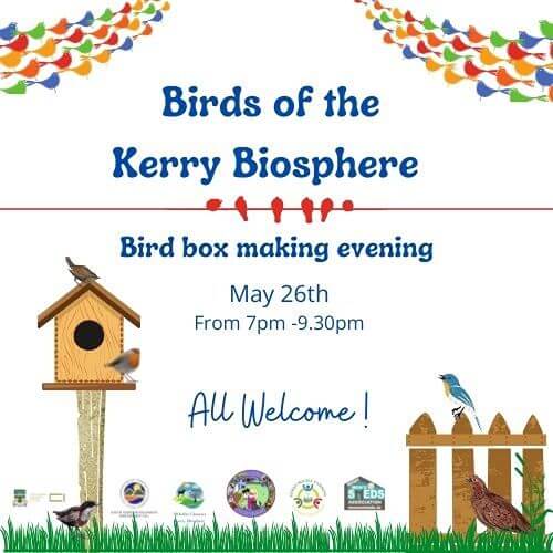 Make a Bird Box evening