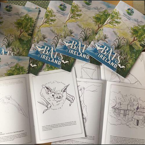 Bats Colouring Book - A huge success!