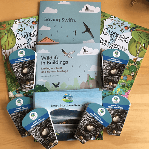 Kerry Library Initiative