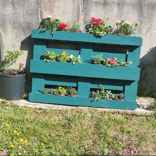 Pollinators