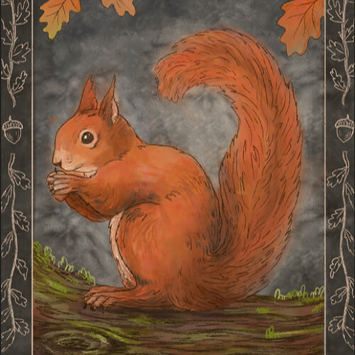 Our Wild Native Woodlands Launch