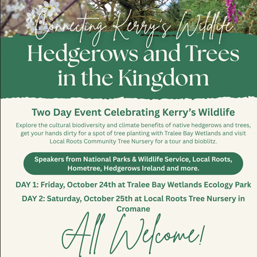 Two day event celebrating hedgerows and trees in Kerry