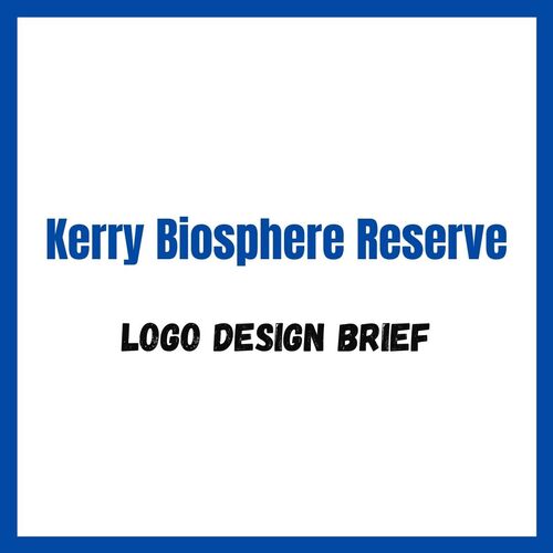 White background with text Design Brief