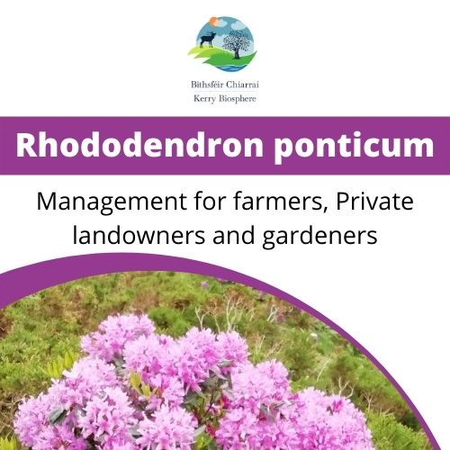 Management of Rhododendron ponticum