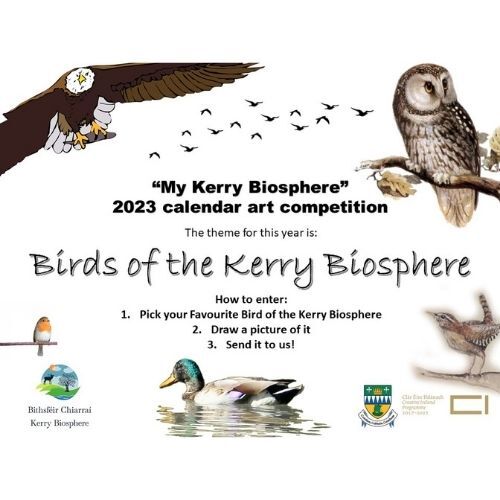 2022 Calendar Art Competition Details